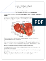 CMS Sist. Digestório e Endócrino