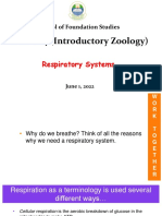 BIO 004 Animal Respiratory Systems