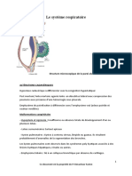 Le Systeme Respiratoire 02042020