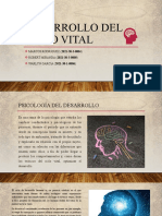 Desarrollo Del Ciclo Vital