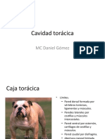 Cavidad Torácica y Pélvicas