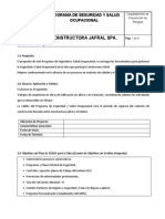 Programa de Seguridad y Salud Ocupacional