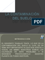 Trabajo Final CONTAMINACION DEL SUELO TRABAJO