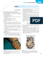 Acute Renal Failure