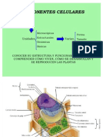 01 Componentes Celulares 2007