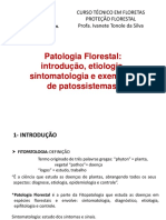 Introdução Etiologia Sintomatologia Das Doenças de Plantas