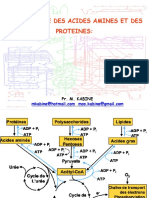 Métabolisme Protéique