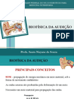 Aula 11 - Biofísica Da Audição