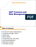 Treasury Risk Management