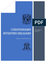 Cuestionario Intestigo Delgado