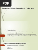 L1 - Regulation of Gene Regulation