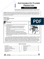 Attra Cut Flower Production