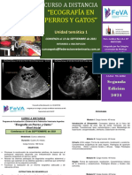 2021-08!10!112215.635868-Bcurso Ecografa en Perros y Gatos - Unidad Tematica 1