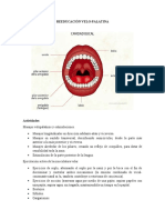 Reeducación Del Velo Palatino