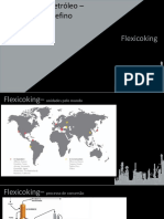 19-+port +flexicoking