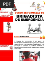 Treinamento Brigada