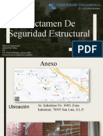 Dictamen de Seguridad Estructural