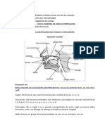 Classificação Das Vogais e Consoantes