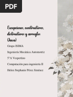 Helen Stephanie Excepciones, Constructores, Destructores y Arreglos (Java)