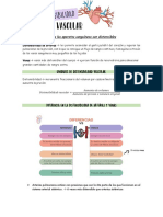 Distensibilidad Vascular