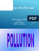 Pollution PPT B.ed Practical (Rashmi) 1