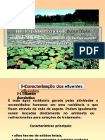 Aula 05 - Efluentes Domésticos e Industriais