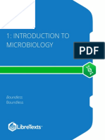 Intro To Microbiology