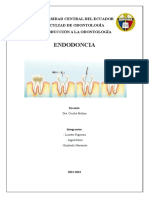 Endodoncia - Trabajo Grugal 5