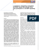 Environmental Microbiology - 2010 - Bordeleau - Beyond Antibiotic Resistance Integrating Conjugative Elements of The SXT