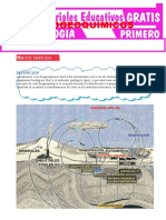 Ciclos Biogeoquímicos para Primero de Secundaria