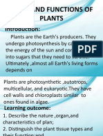 Parts and Functions of Plants