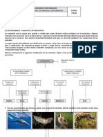 Tarea Clasificación de Vertebrados - Peces. Tareas 1 y 2