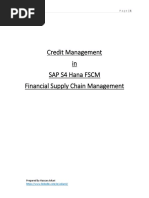 Credit Management in Sap S4 Hana FSCM Financial Supply Chain Management