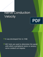 Nerve Conduction Velocity