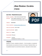 Curriculum Vitae