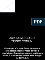 Xxviii Domingo Do Tempo Comum - Ano 2015