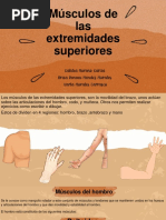 Exposicion Anatomia