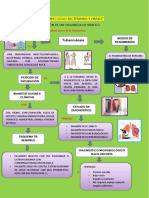 La Tuberculosis