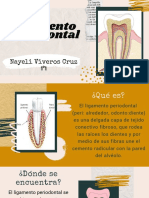 Ligamento Periodontal