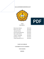 Kelompok 1 - Makalah Sindrom Koroner Akut (SKA)