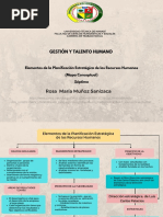 Elementos de La Planificación Estratégica de Los Recursos Humanos