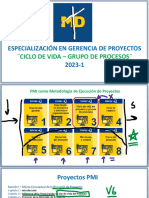 PMI Electiva