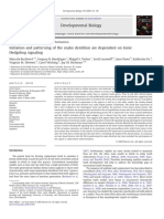 Butchova Et Al 2008 Snake Dentition