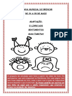 Livro Os Sentimentos Adaptado para A Semana Nacional Do Brincar