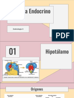 Embriologia Endocrino