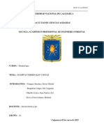 Tarea - Ramitas Termin Ales y Hojas 2023