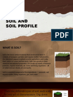 Soil and Soil Profile