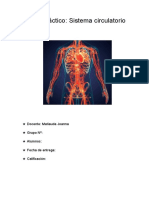 Trabajo Práctico - Sistema Circulatorio