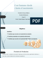 Desarrollo Embrionario Fetal y Placentario - PPTX Filename UTF-8''Desarrollo Embrionario Fetal y Placentario