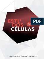 Bem Vindos 2. Adoração Com Músicas 3. Ministração Da Palavra 4. Oração 5. Oração Pelas Necessidades 6. Oferta 7. Encerramento (Avisos)